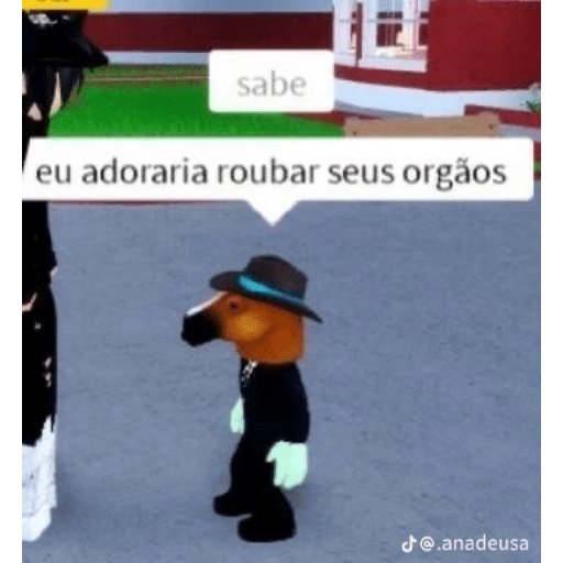 Roblox 29