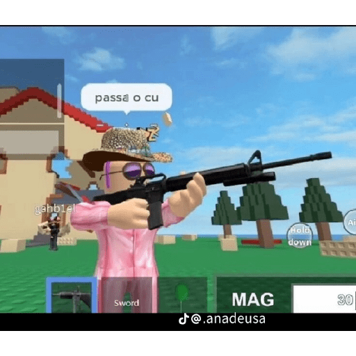 Roblox 5