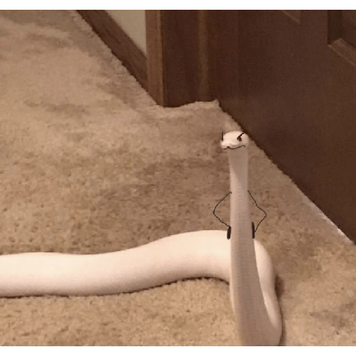 ✨🐍animalitos🦎✨ 2