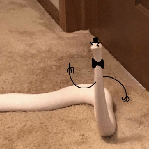 ✨🐍animalitos🦎✨ 4