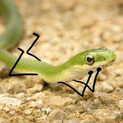 ✨🐍animalitos🦎✨ 6