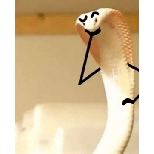 ✨🐍animalitos🦎✨ 7