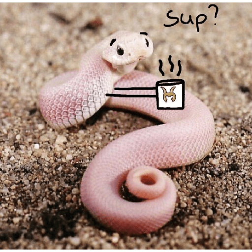 ✨🐍animalitos🦎✨ 10