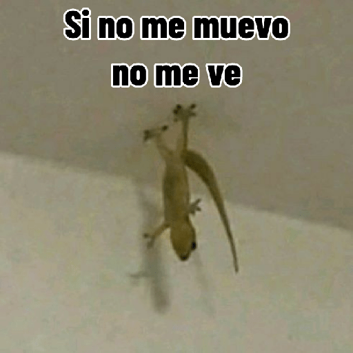 ✨🐍animalitos🦎✨ 14