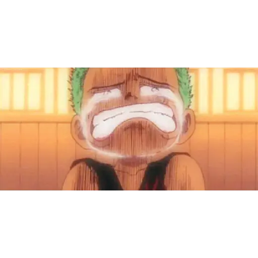 Zoro