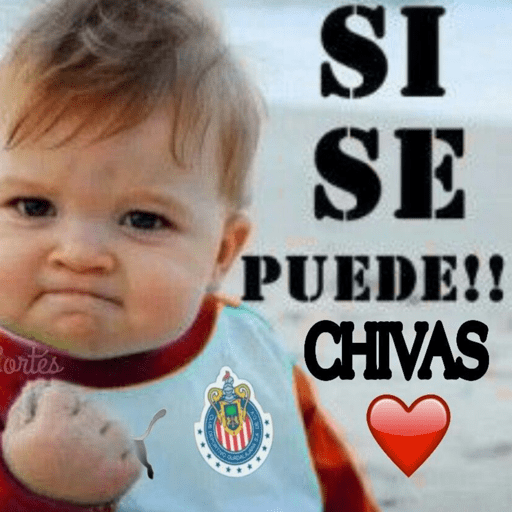 Chivas⚽️🥅 15