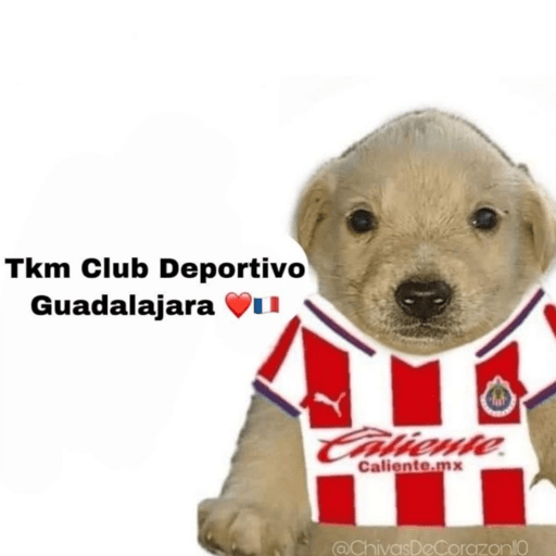 Chivas⚽️🥅 3