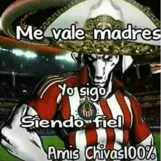 Chivas⚽️🥅 12