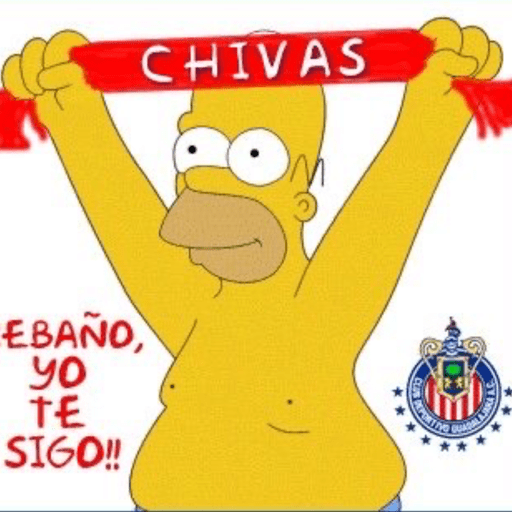 Chivas⚽️🥅 18