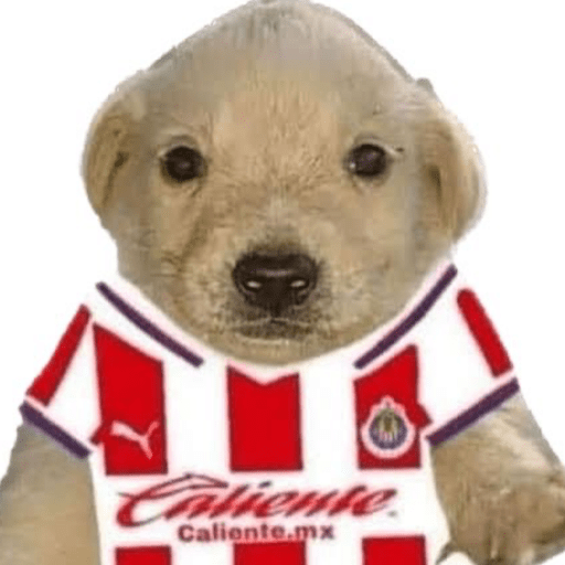Chivas⚽️🥅 10