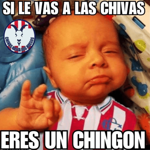 Chivas⚽️🥅 16