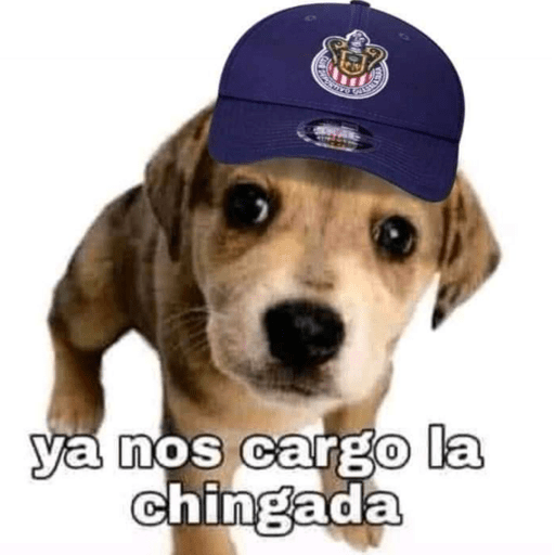 Chivas⚽️🥅 4