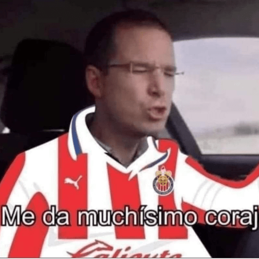 Chivas⚽️🥅 14