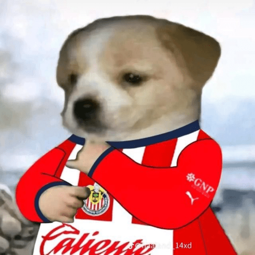 Chivas⚽️🥅 2