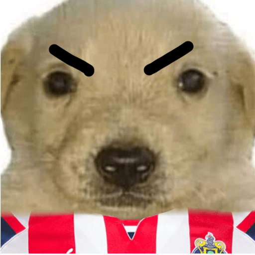 Chivas⚽️🥅 19
