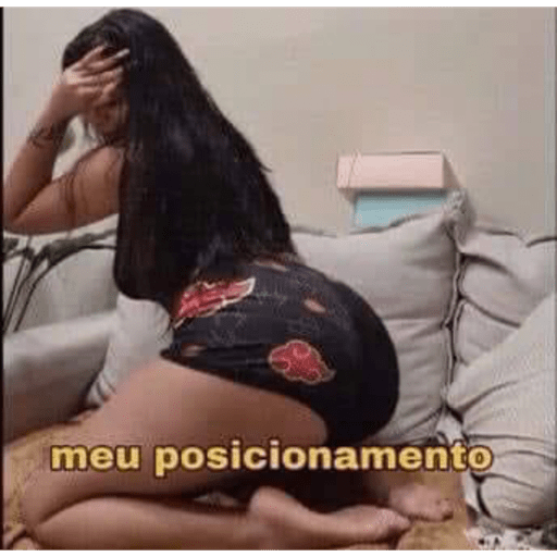 Gatinho pardo 14