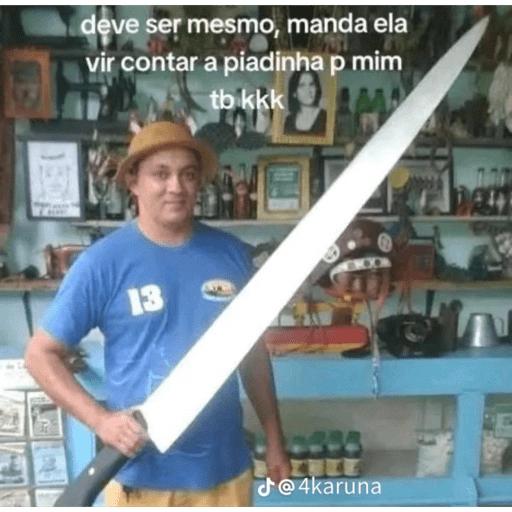 Gatinho pardo 23