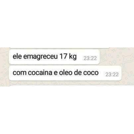 Gatinho pardo 17