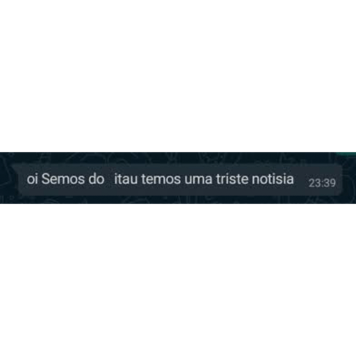 Gatinho pardo 20