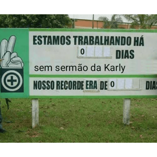 Gatinho pardo 12