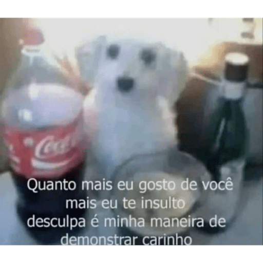 Gatinho pardo 16