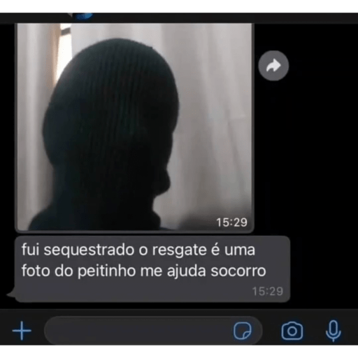 Gatinho pardo 25