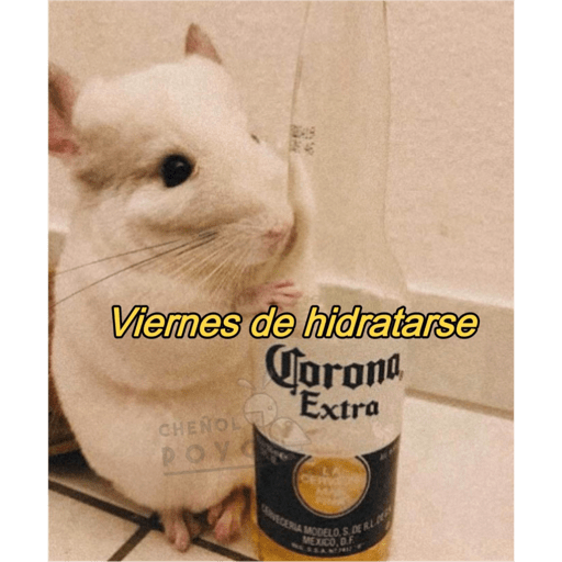 Memes .2 4