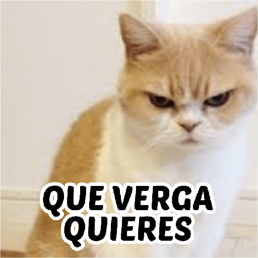 Mix memes clásica 2 5