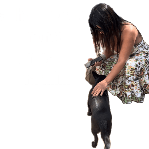 Minhas figurinhas