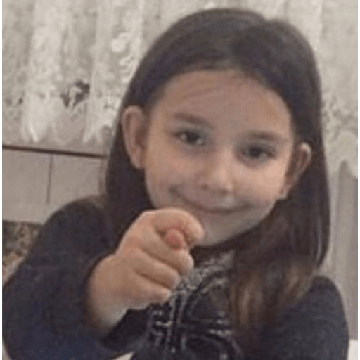 Karman çoban 29
