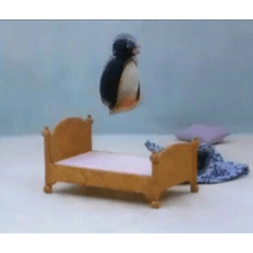 Pingu 11