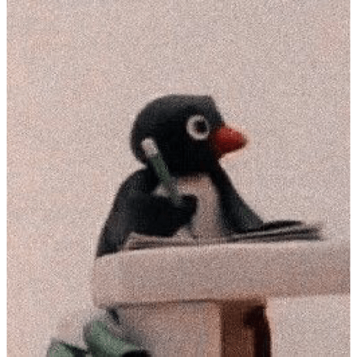 Pingu 14