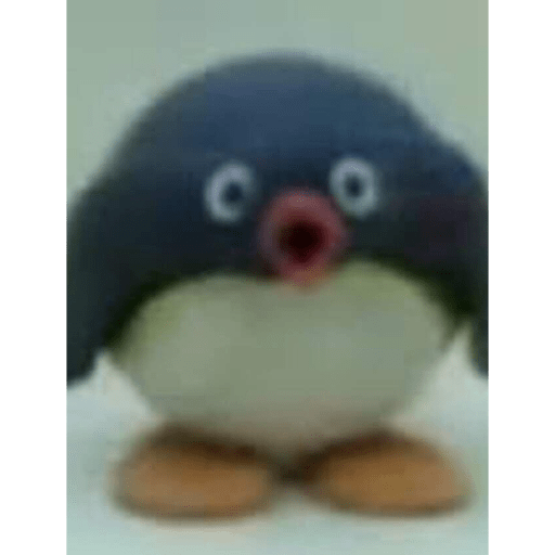 Pingu 5