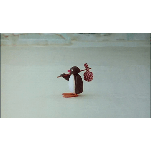 Pingu 16