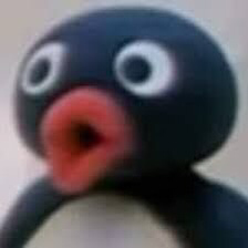 Pingu 7