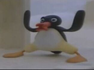 Pingu 8