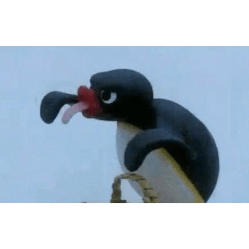 Pingu 10