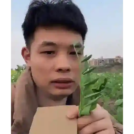 Tantalaw 27