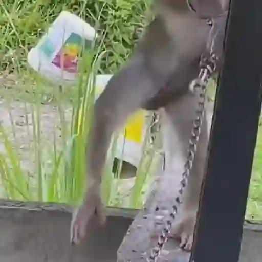 Tantalaw 4