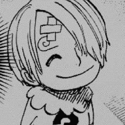 Sanji manga  25
