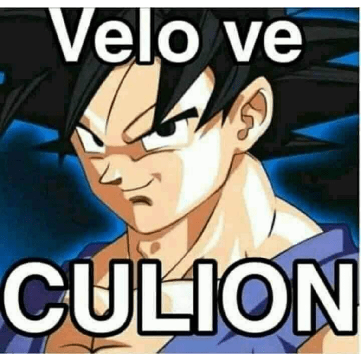 Goku Frases 12