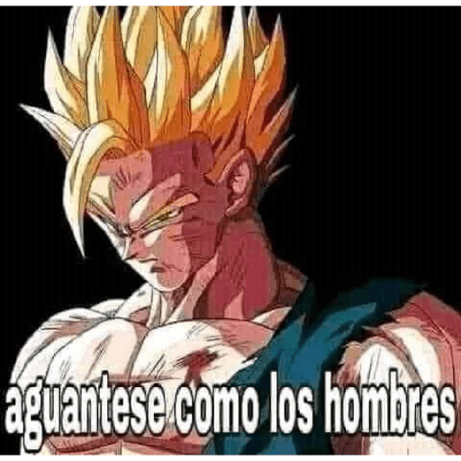 Goku Frases 9