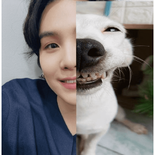 Kpop 4
