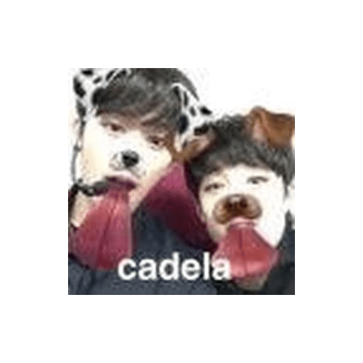 Kpop 6