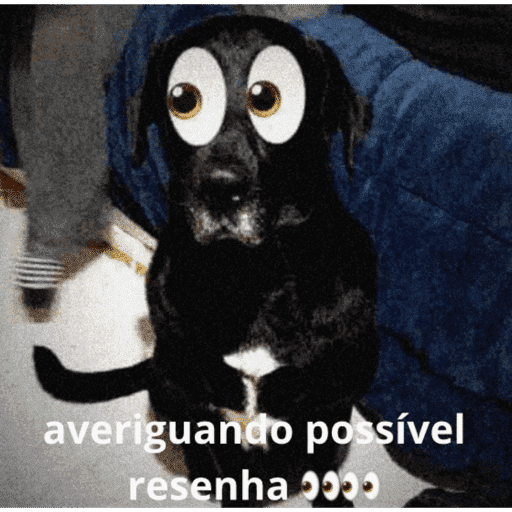 Rsrs  13