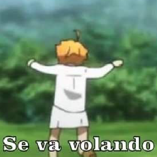 Nose Xd 9