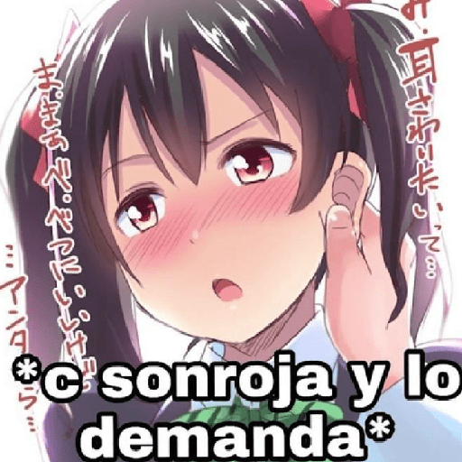 Nose Xd 7