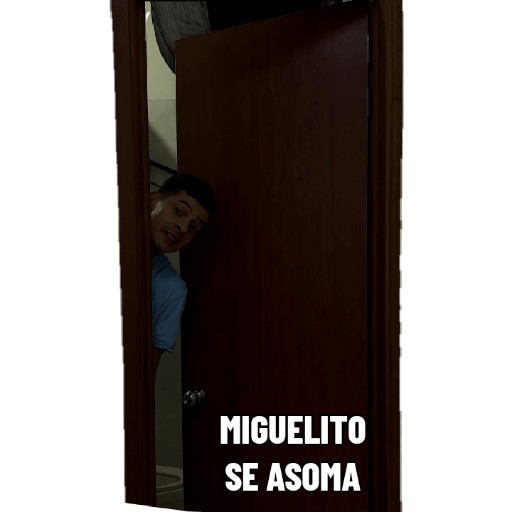 Asesorias 1