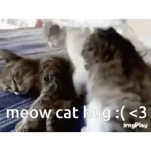 Amorcito  3