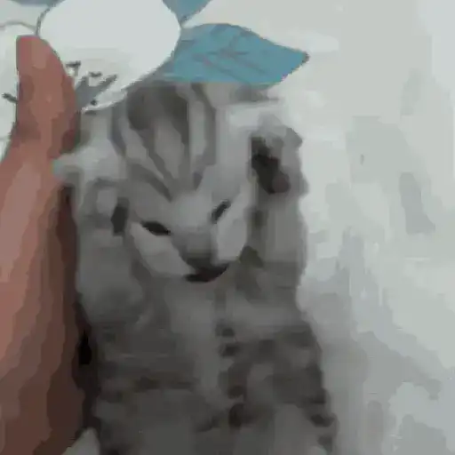 Amorcito  2